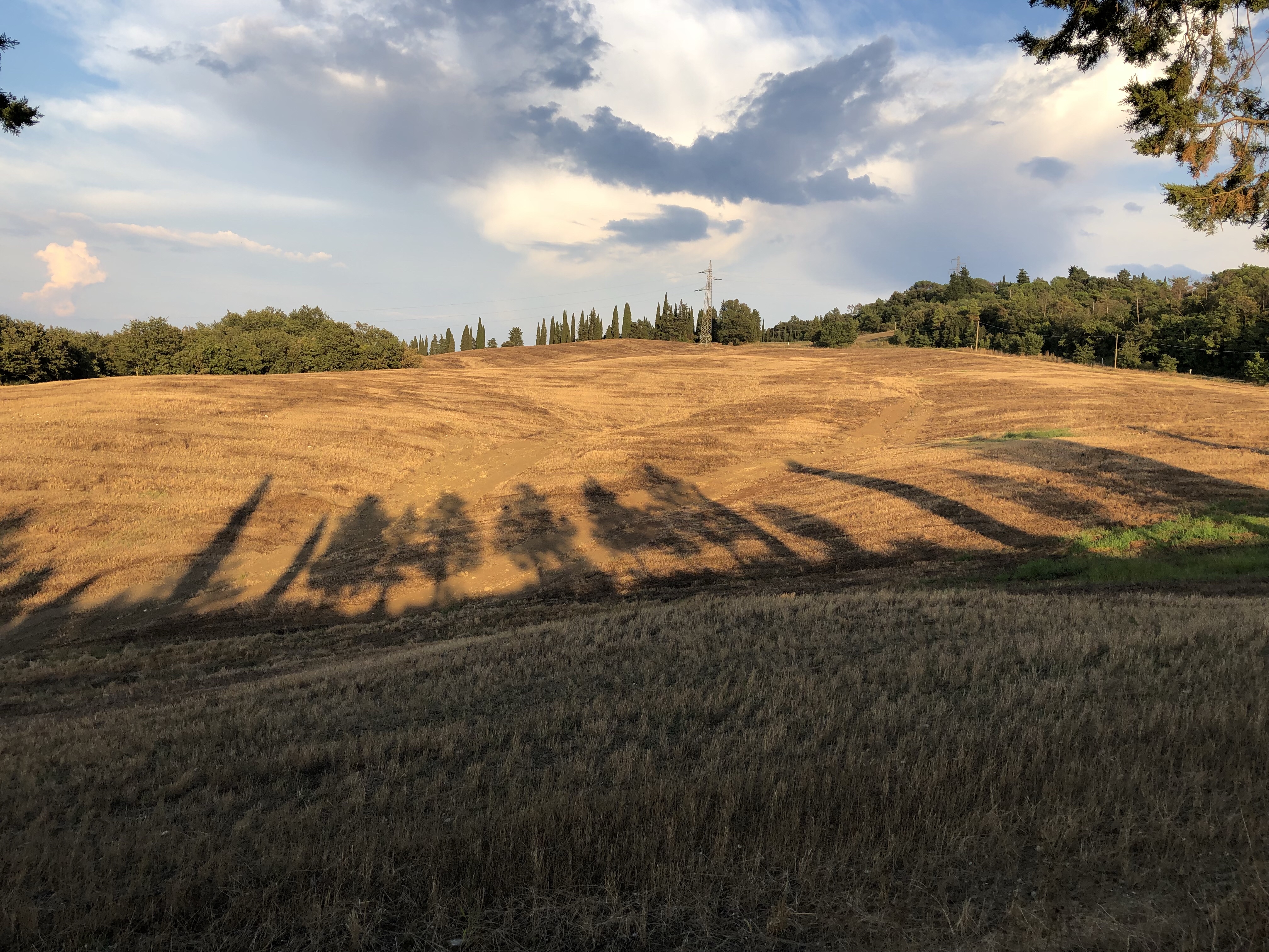 Rustic Toscana countryside